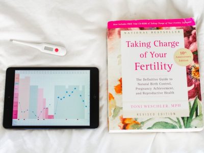 fertility-charting-on-ipad-tablet_t20_3QA2eN